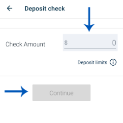 Deposit Check Enter Amount Screen